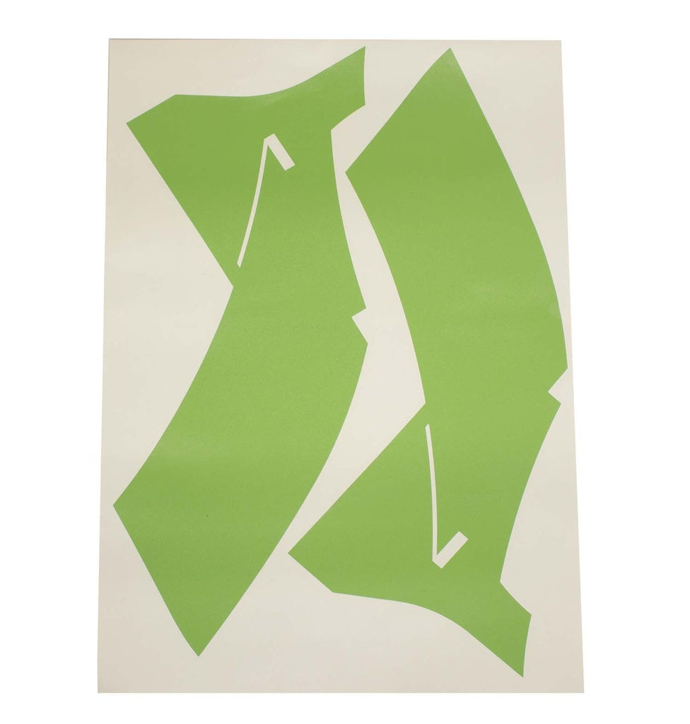 Verus Carbon Dive Plane Kit, Dual Element - 981 GT4